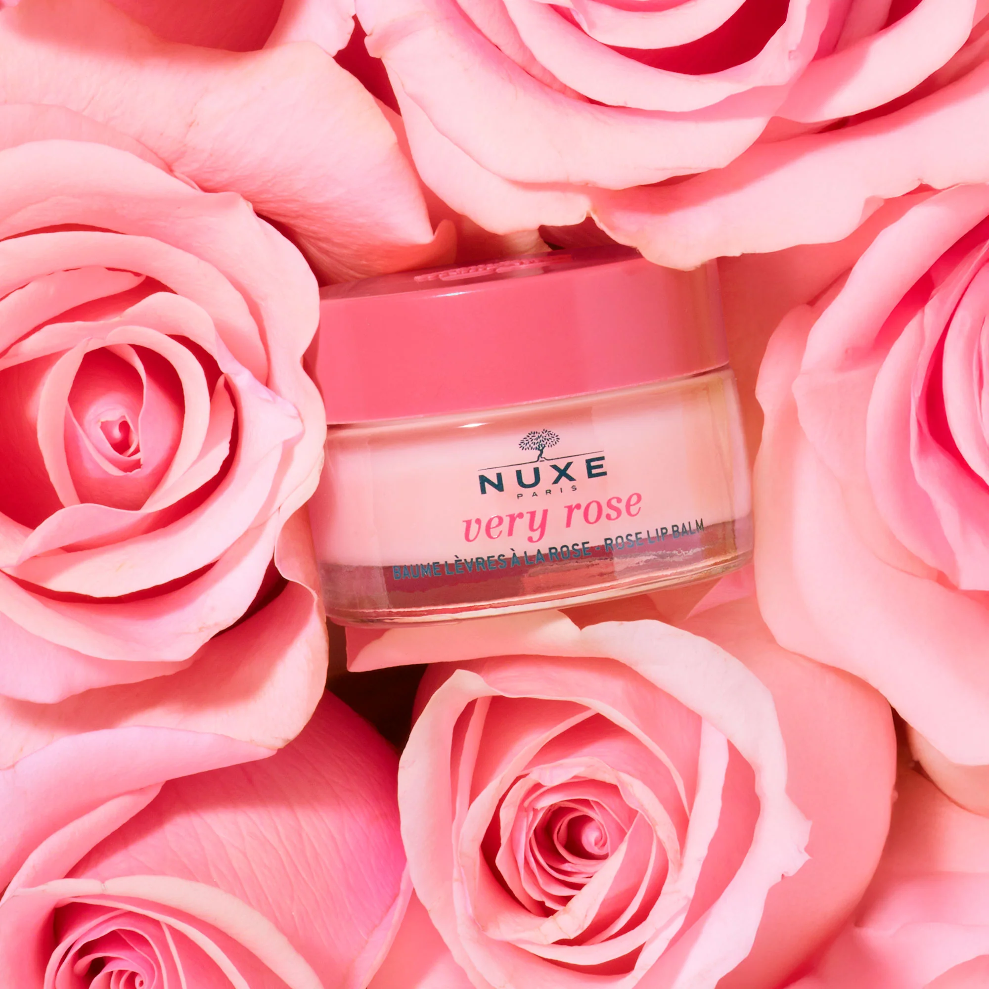 NUXE VERY ROSE BALSAMO DE LABIOS 15 ML - Imagen 2