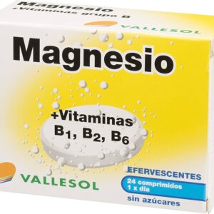 VALLESOL EFERV MAGNESIO+B 24 COMP